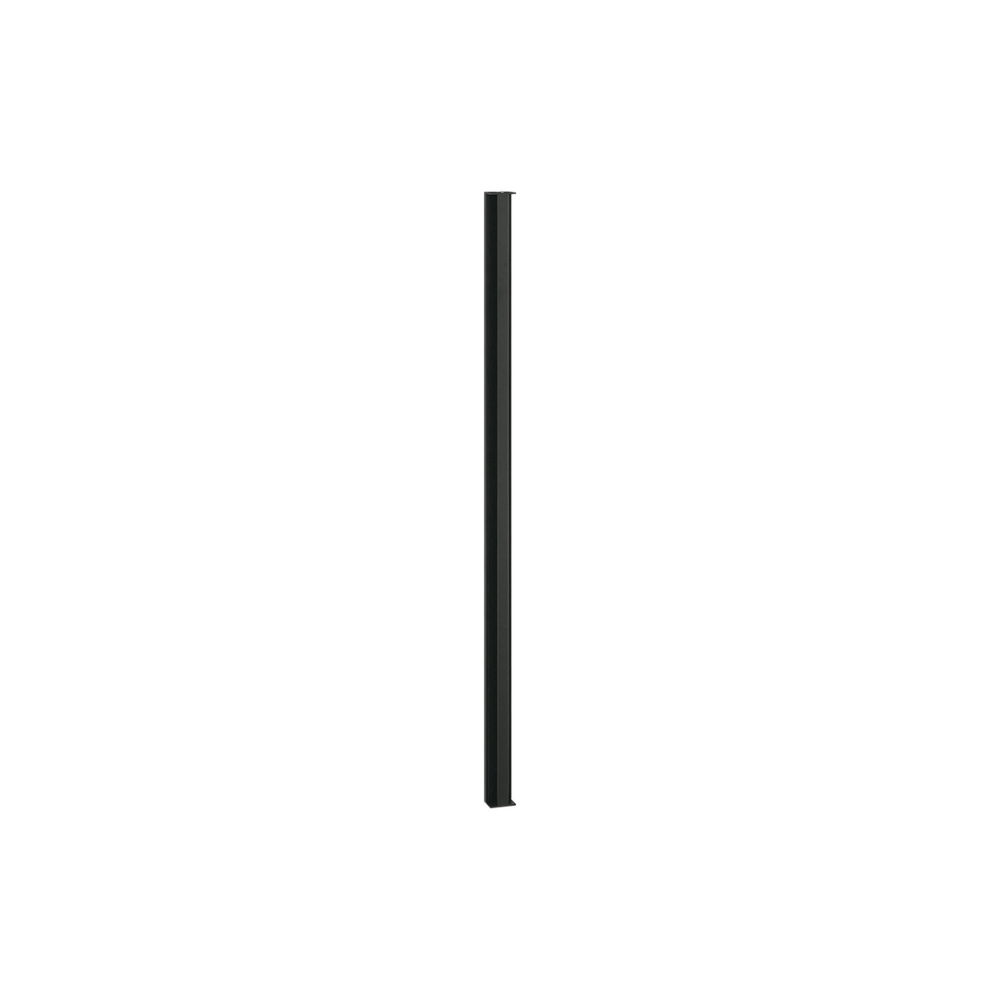 Needle